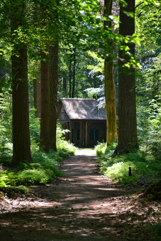 the path is marked with a building in the middle