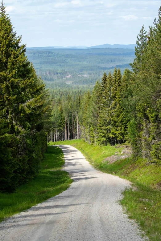 a gravel road winding up the side of a forested area