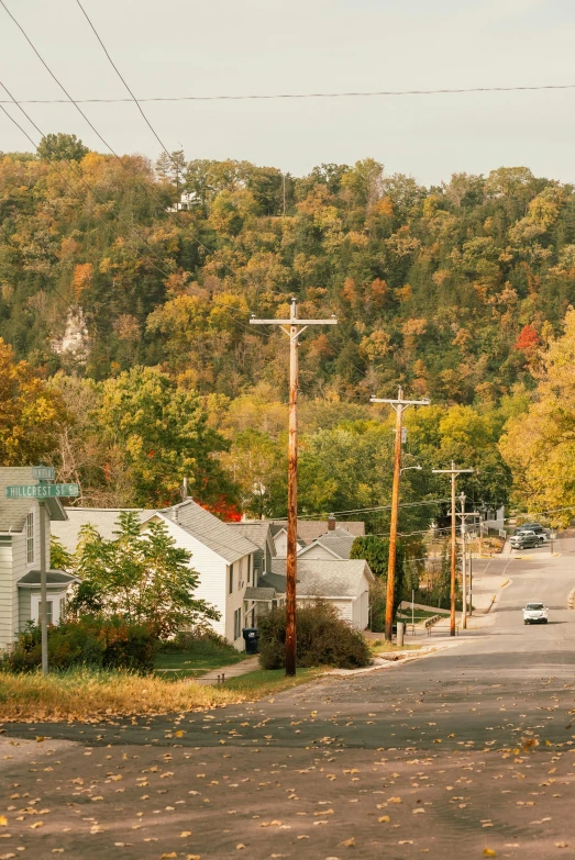 street with houses near intersection with forest in background