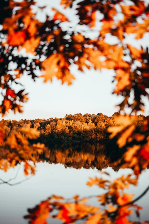 a lake sitting next to a forest with orange leaves