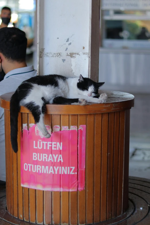 a man sitting in the window of a cat sitting on top of a box