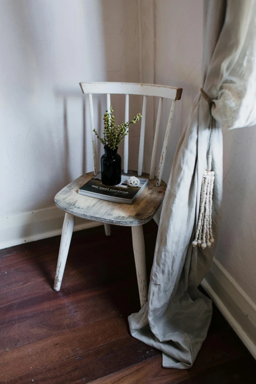 a chair and a plant are next to a wall