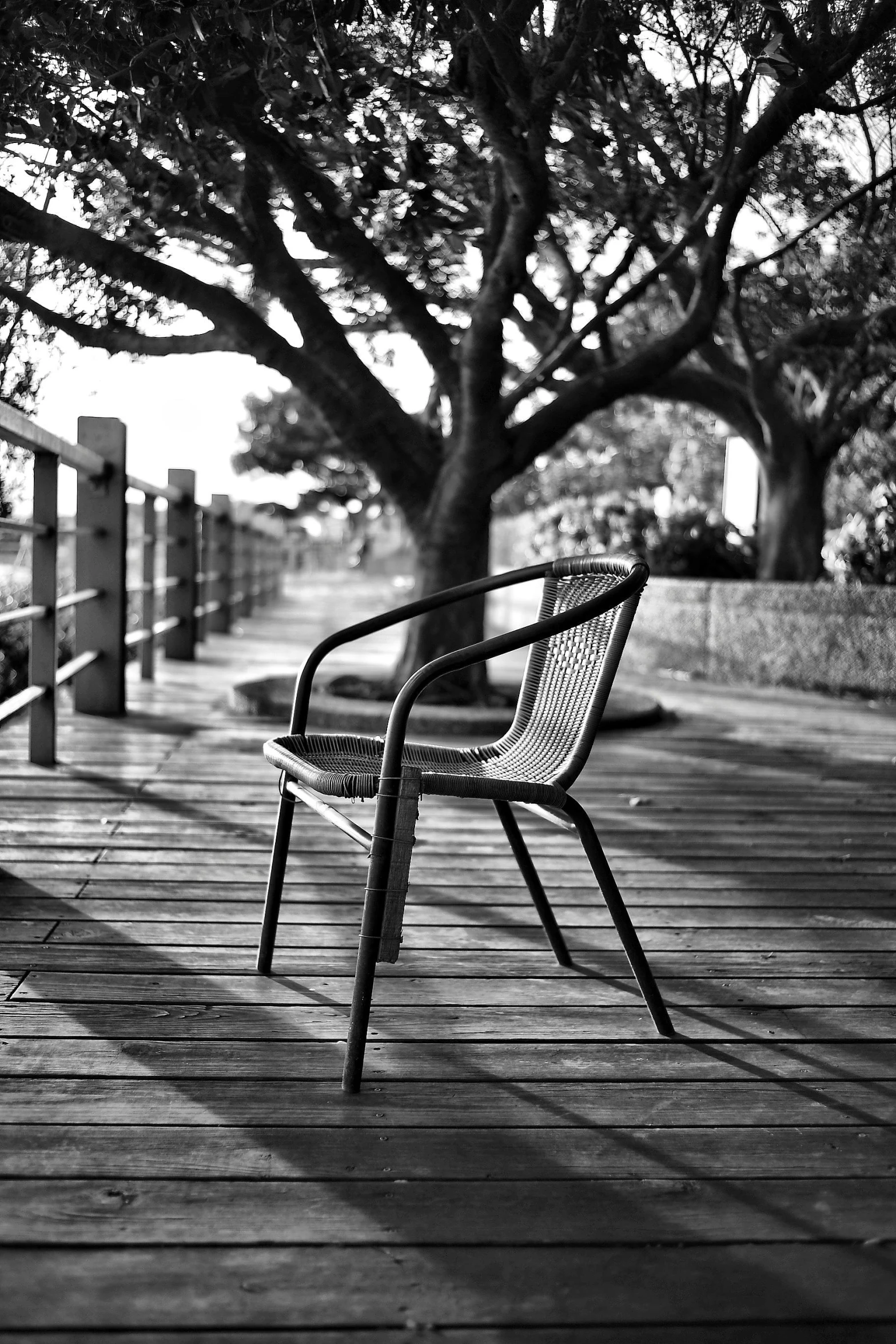 an empty chair on a wood boardwalk next to a tree