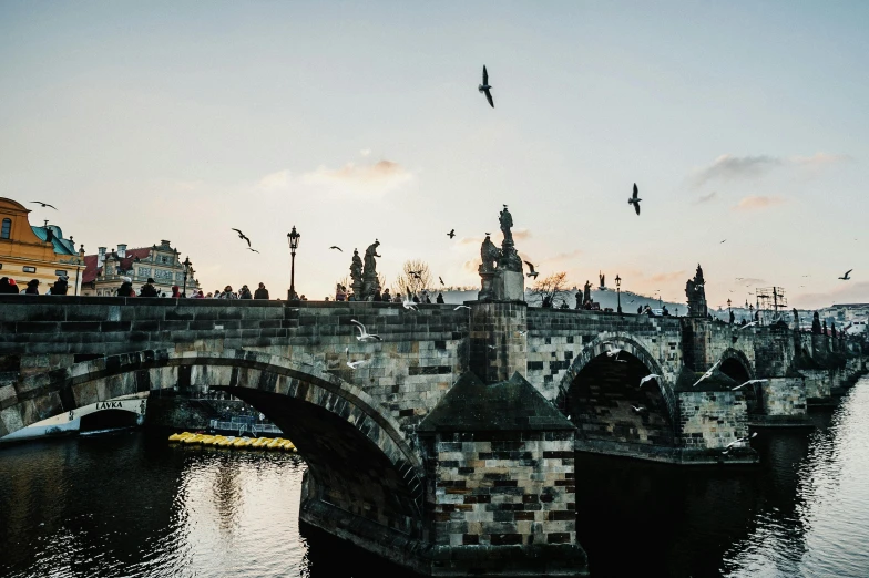 birds are flying above the water and stone bridges