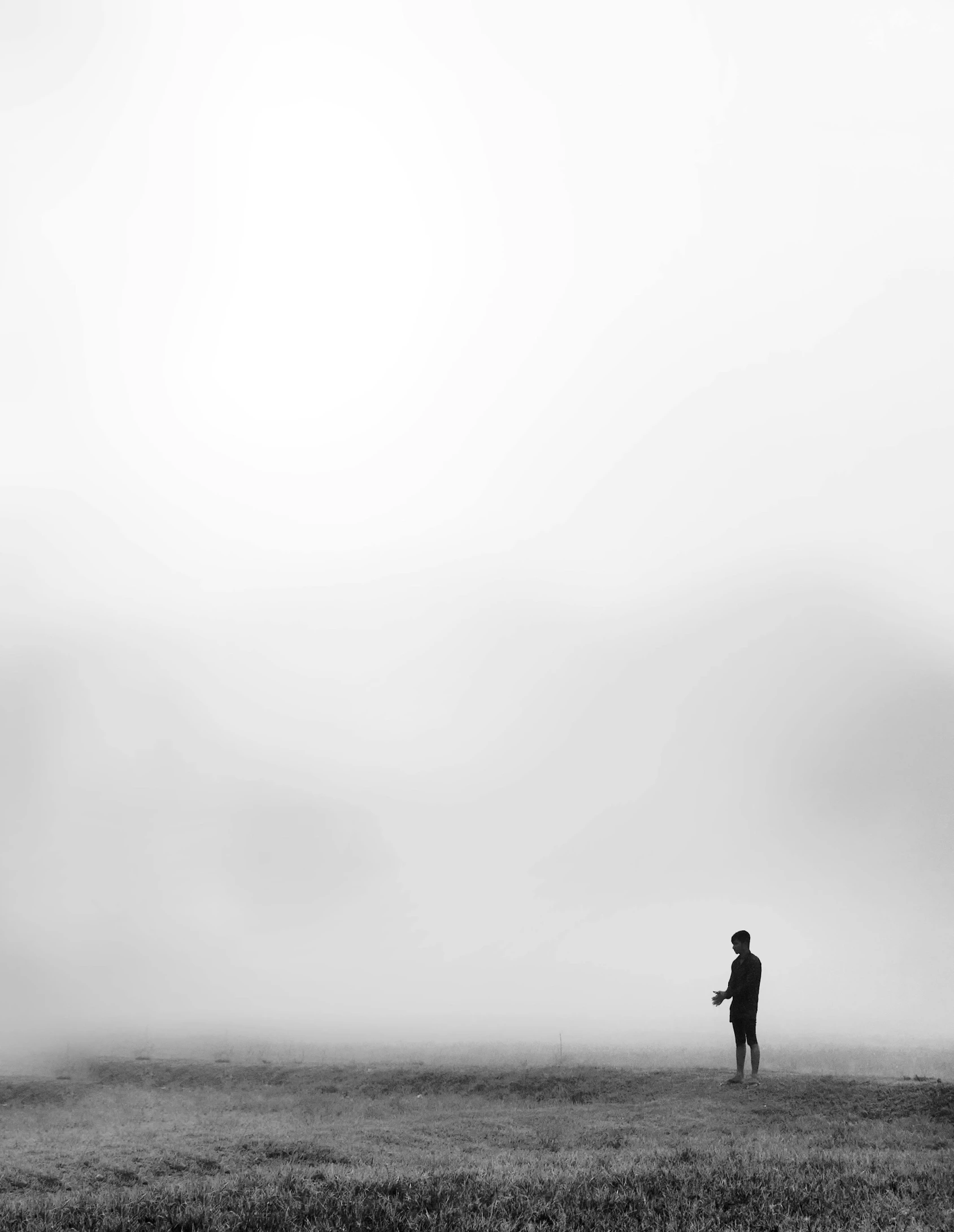 a lone person in a field with a kite