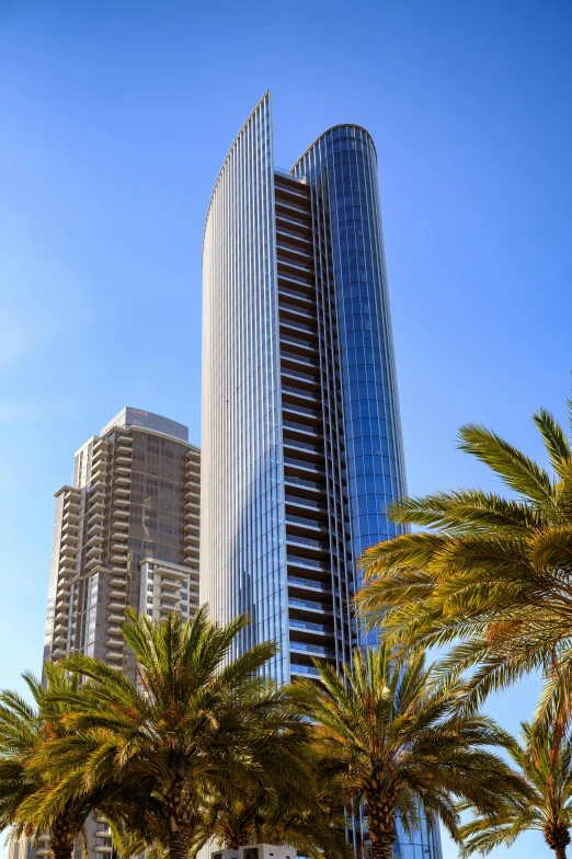 a view of two skyscrs next to palm trees