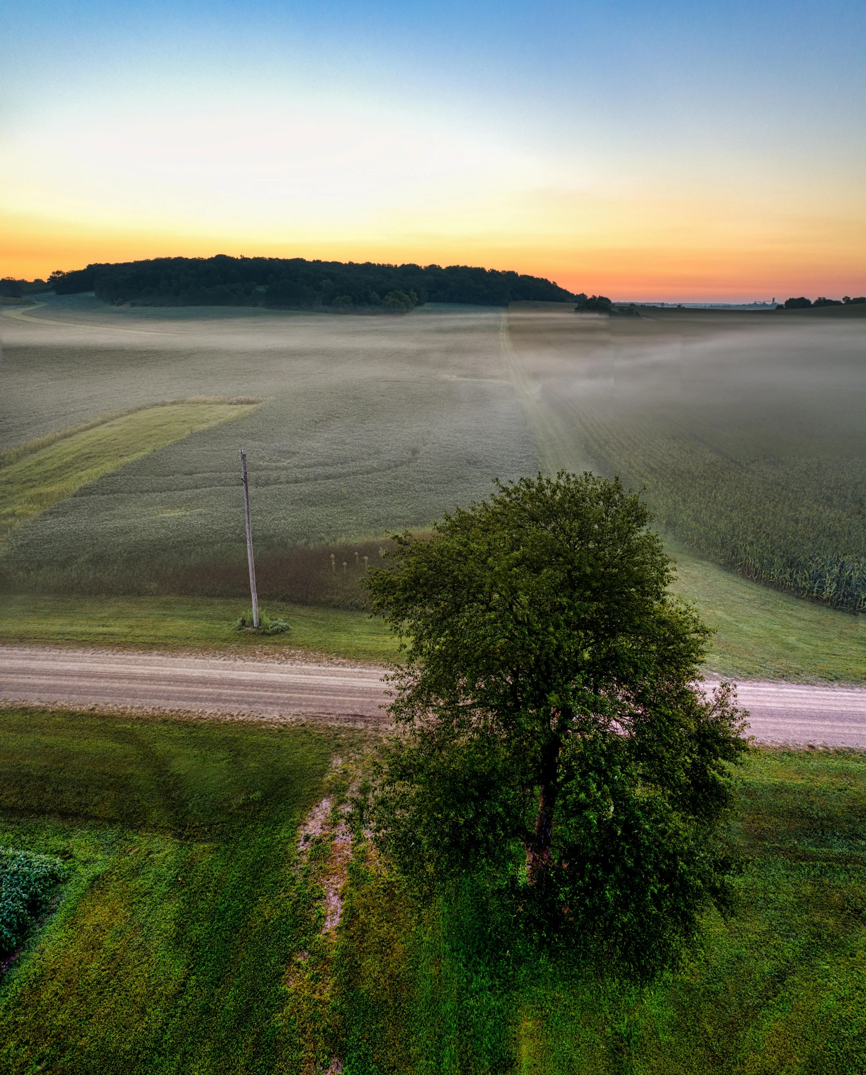 a field with a road and trees in the foreground