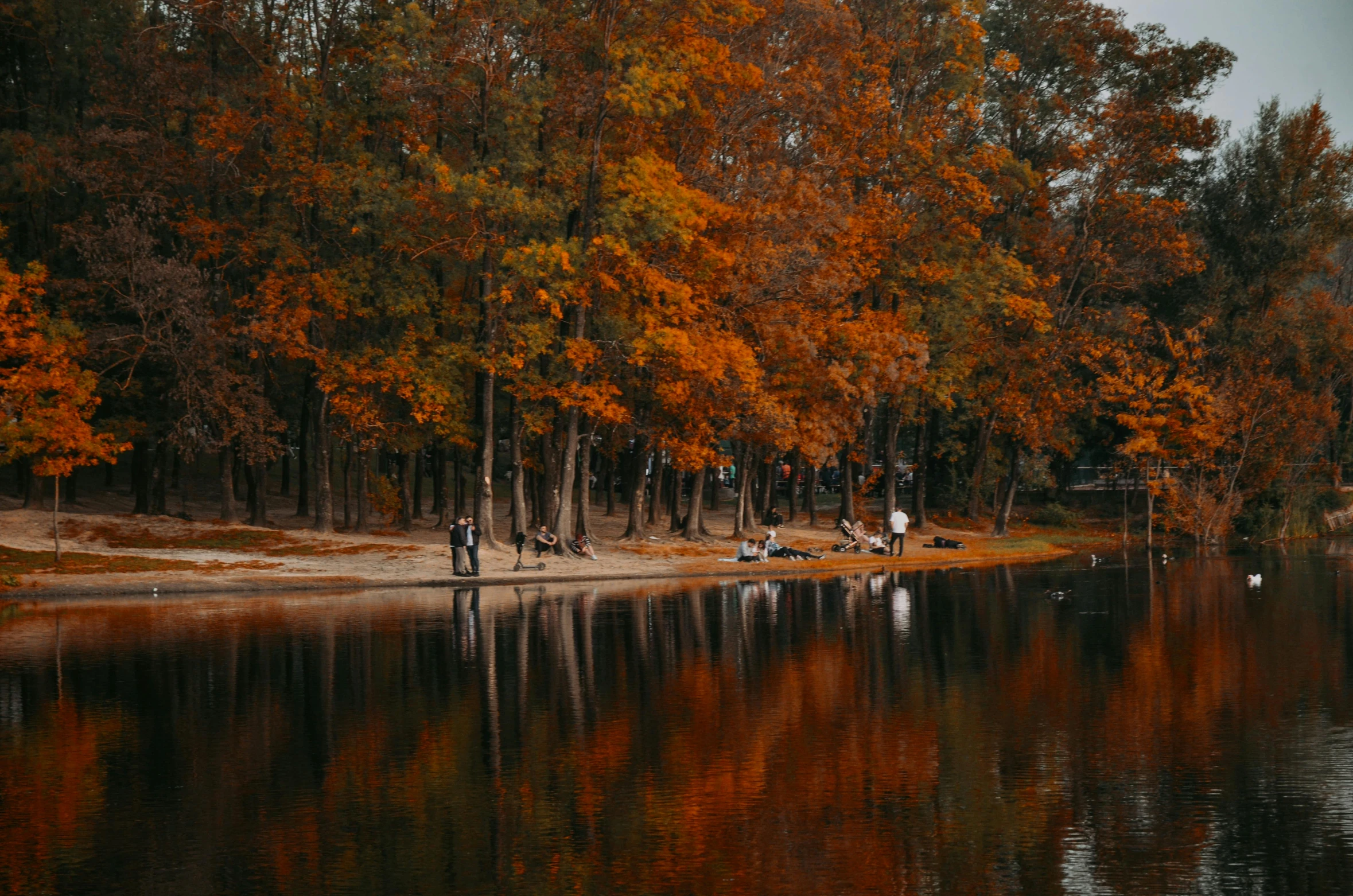 two people sitting on shore near trees and body of water