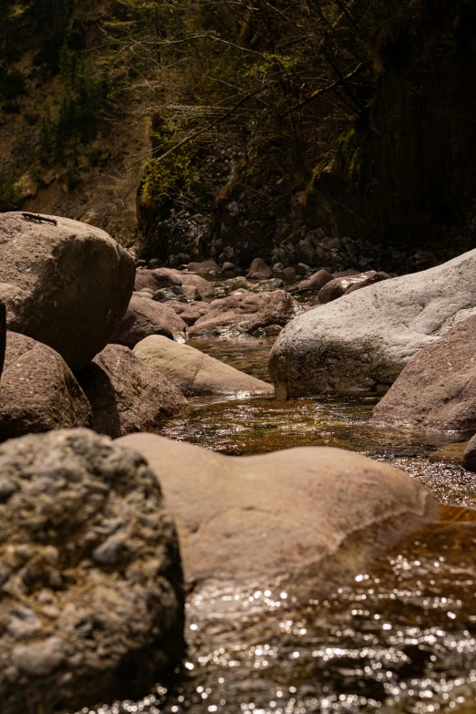 a man sits on rocks in a stream