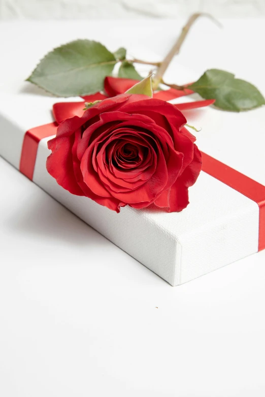 a red rose sits on top of a white present box