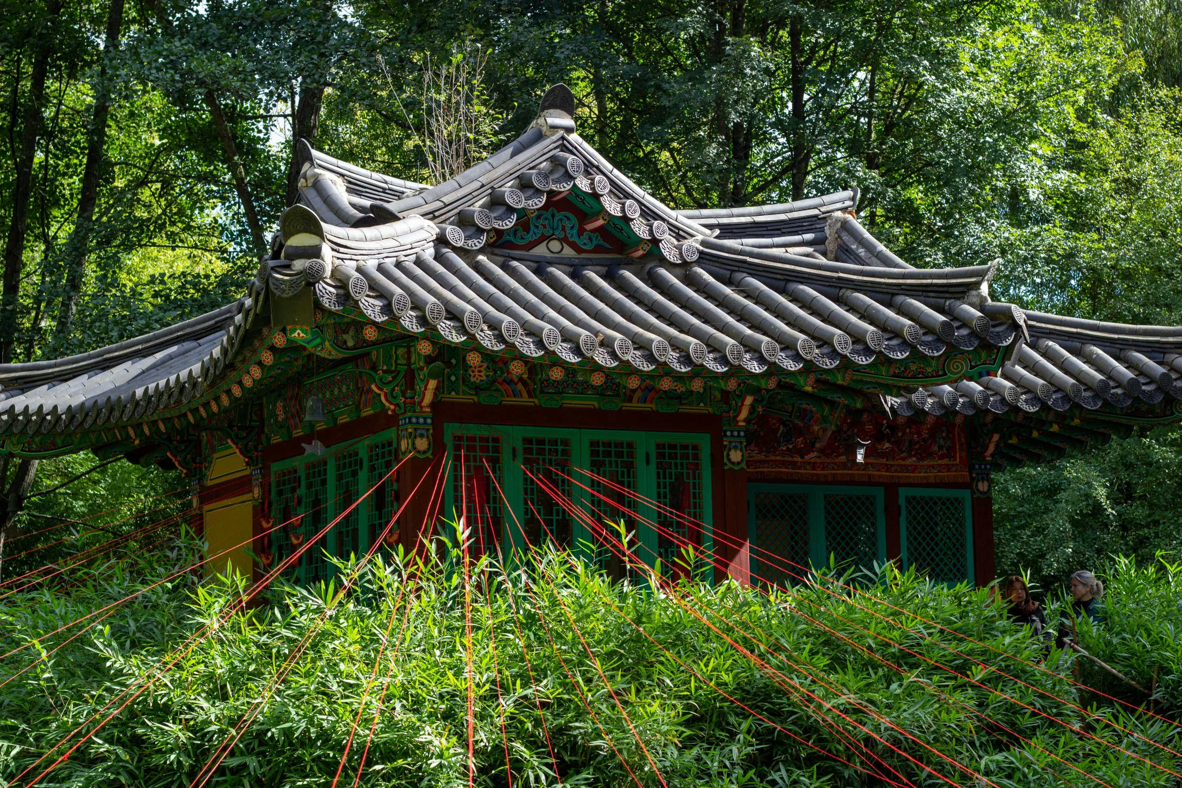 asian building with roof is surrounded by trees