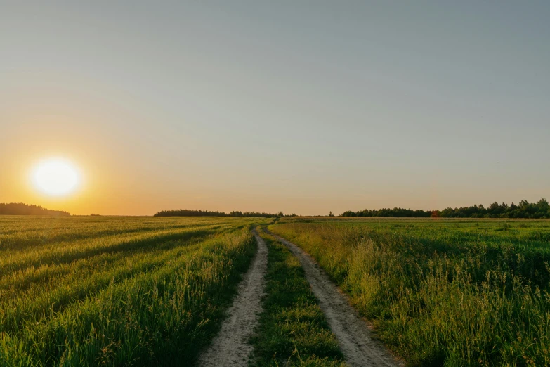 a field with grass and some dirt roads going through it