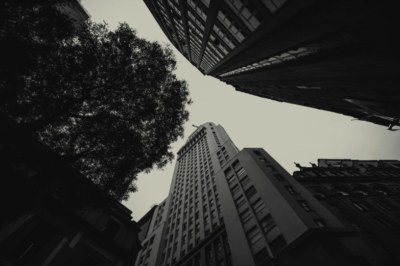 a black and white pograph looking up at high rise buildings