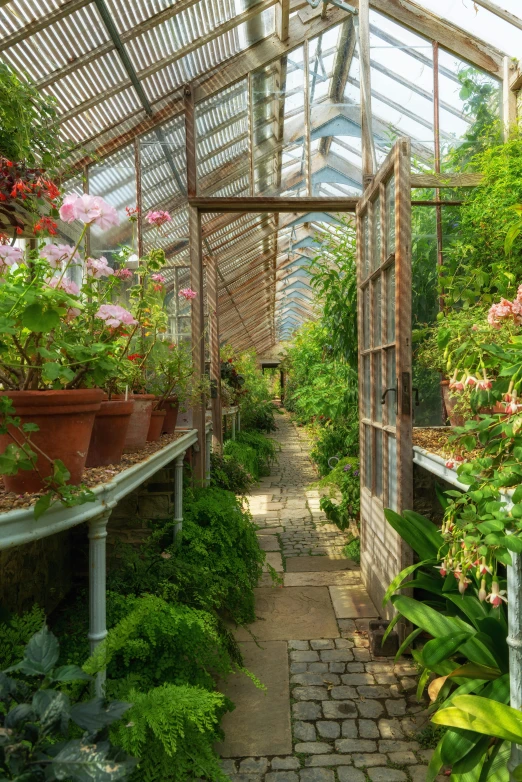 a walkway surrounded by plants and flowers is flanked by a large wooden greenhouse