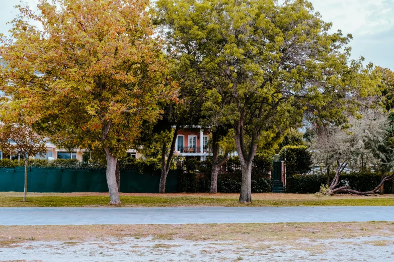 a fire hydrant is located near trees and houses