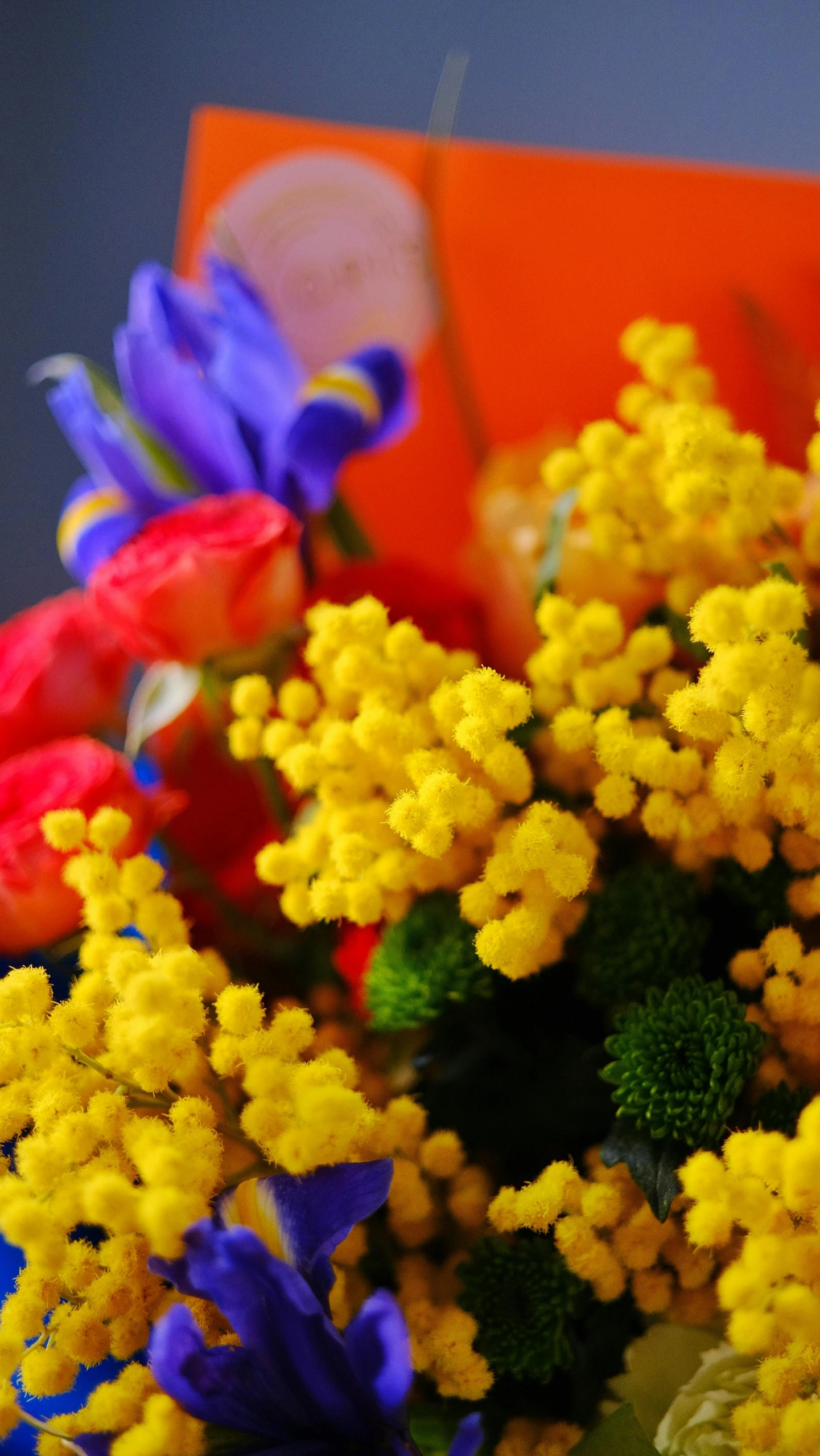 a closeup of various colorful flowers on a table