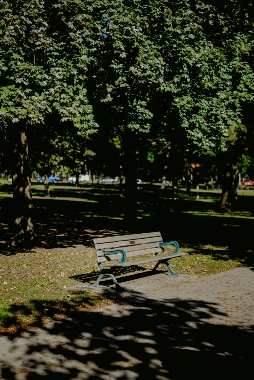 the park bench is facing the street and the tree