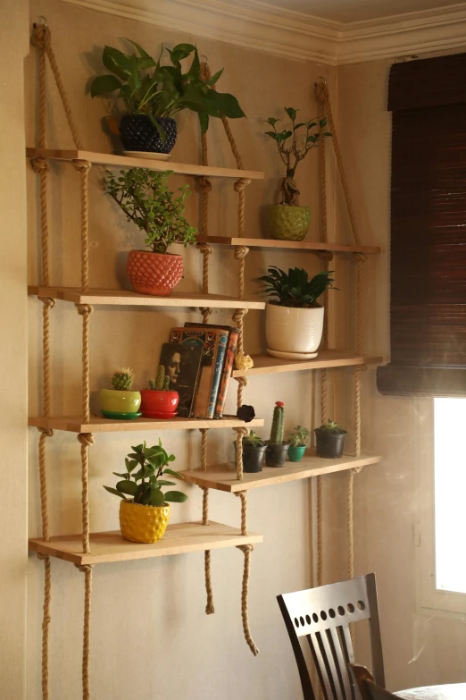 various plants and vases on the shelves of a living room