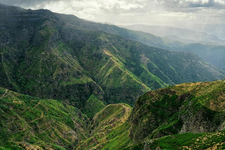 an overview of a hilly valley covered in trees