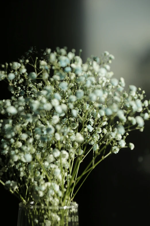 flowers sitting in a vase with a black background