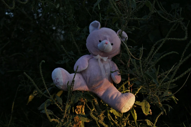 a teddy bear is standing in the tall grass