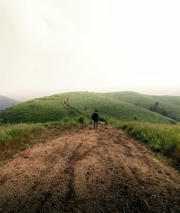 the man has his sheep on a trail in the hills