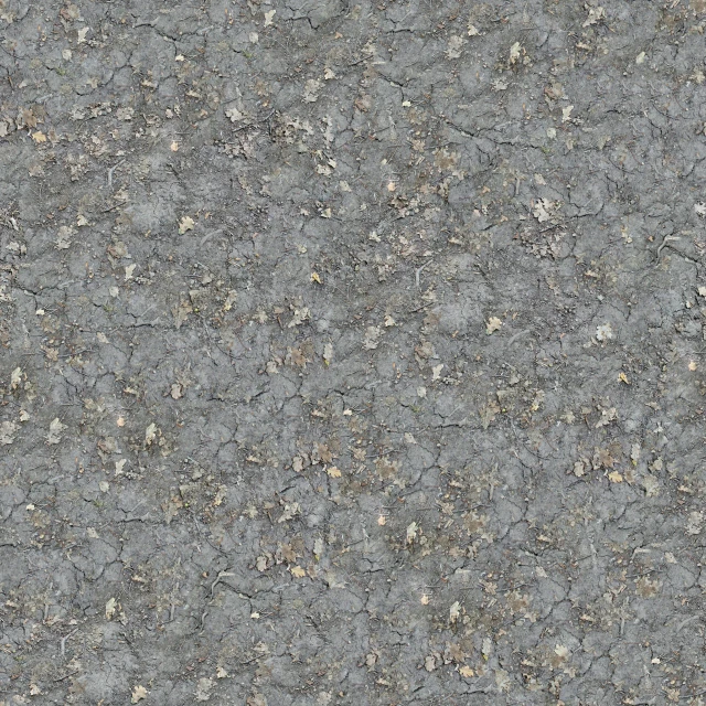 a texture of concrete with small white and gray patches on it