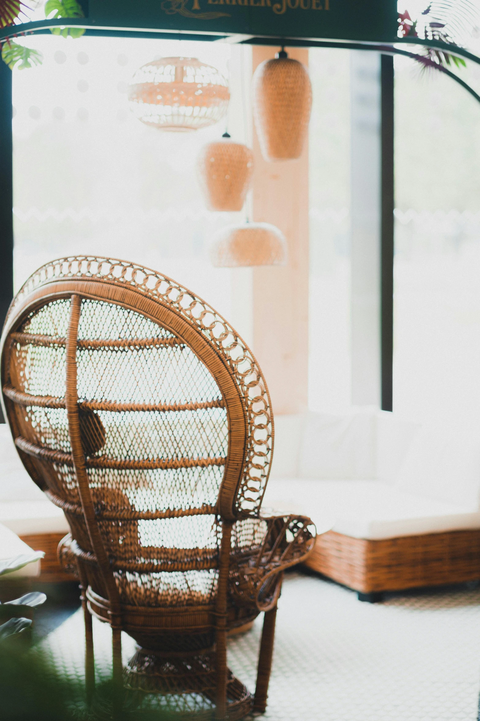 a bird is perched on top of the chair