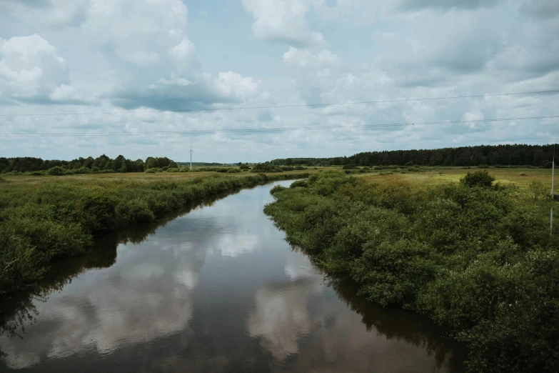 a body of water surrounded by grass and trees