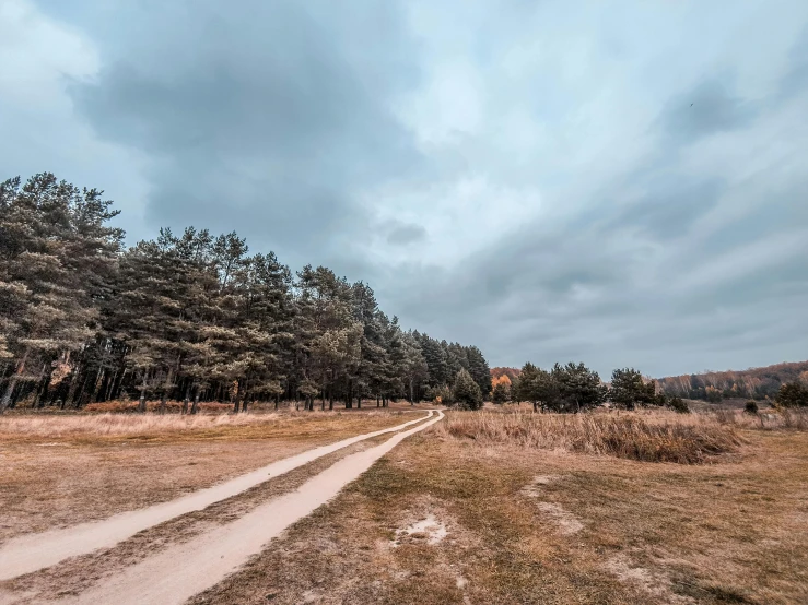 dirt road in grassy area surrounded by trees