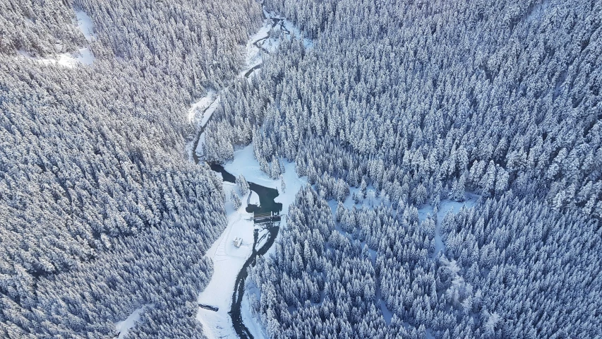 an aerial s of a snowy forested landscape