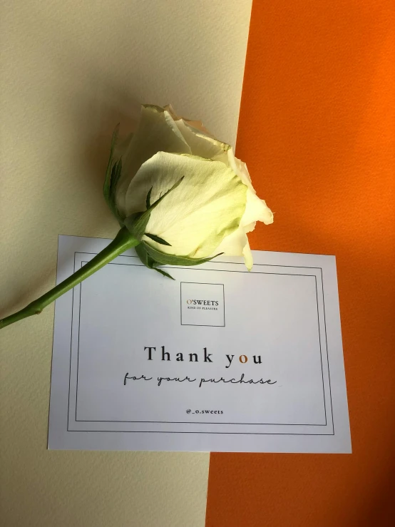 a white rose sitting on top of an empty thank you card