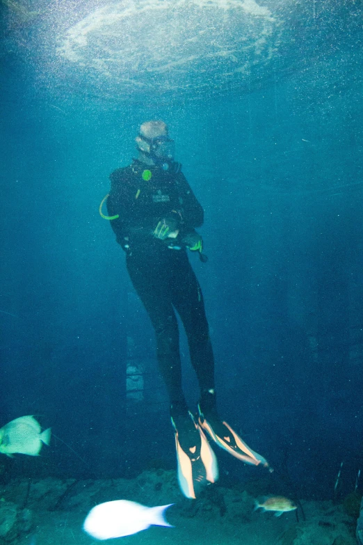 man in scuba gear under water and with scuba mask