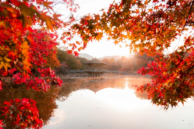 this is a beautiful pond surrounded by fall foliage