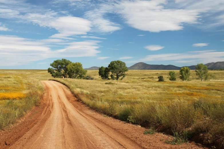 there is a dirt road that crosses in a field