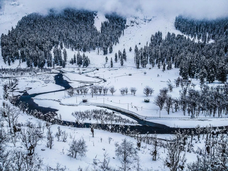 a river cuts through the snow covered ground next to a forest