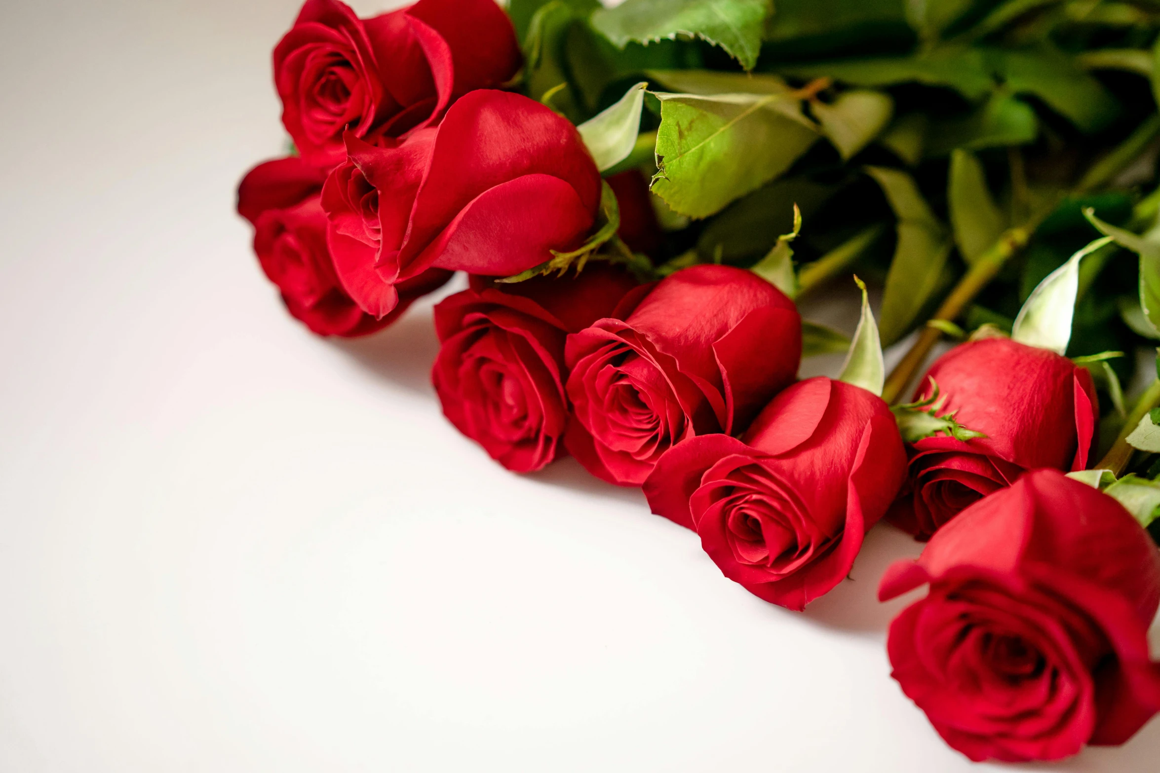 several red roses laid out on a white surface