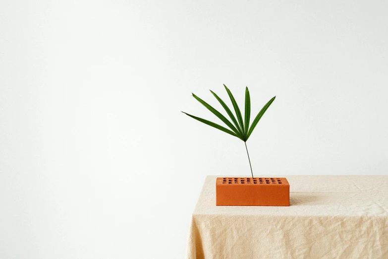 a small orange plant in a square brick container