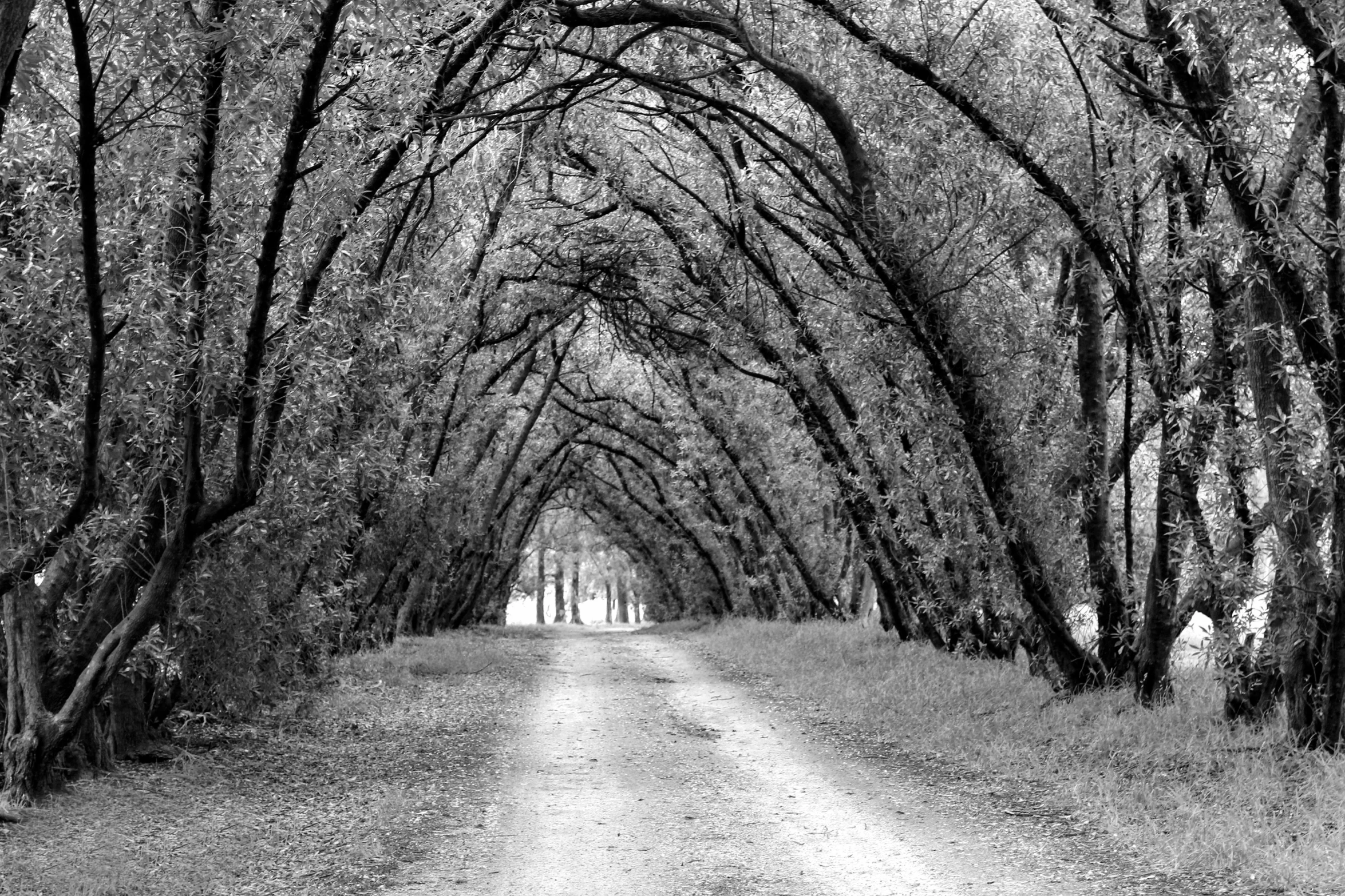 an empty road is pictured in black and white