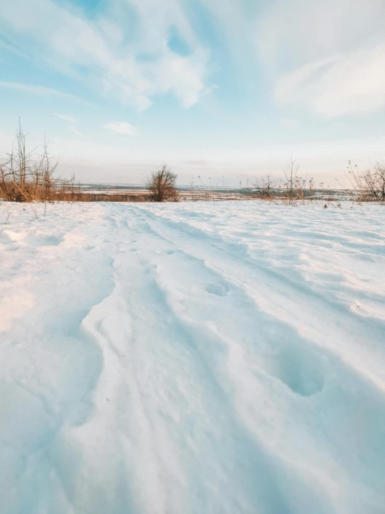 a snowy field with small trees in the distance