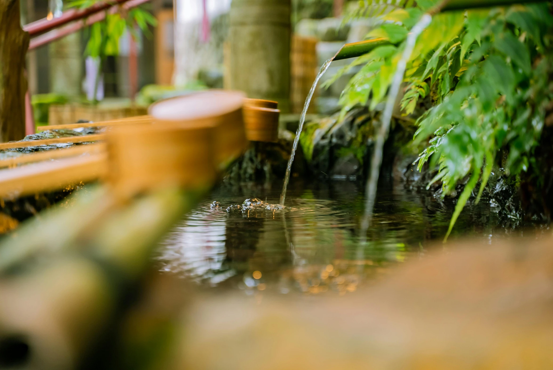 water spouting out of a small pond in a park