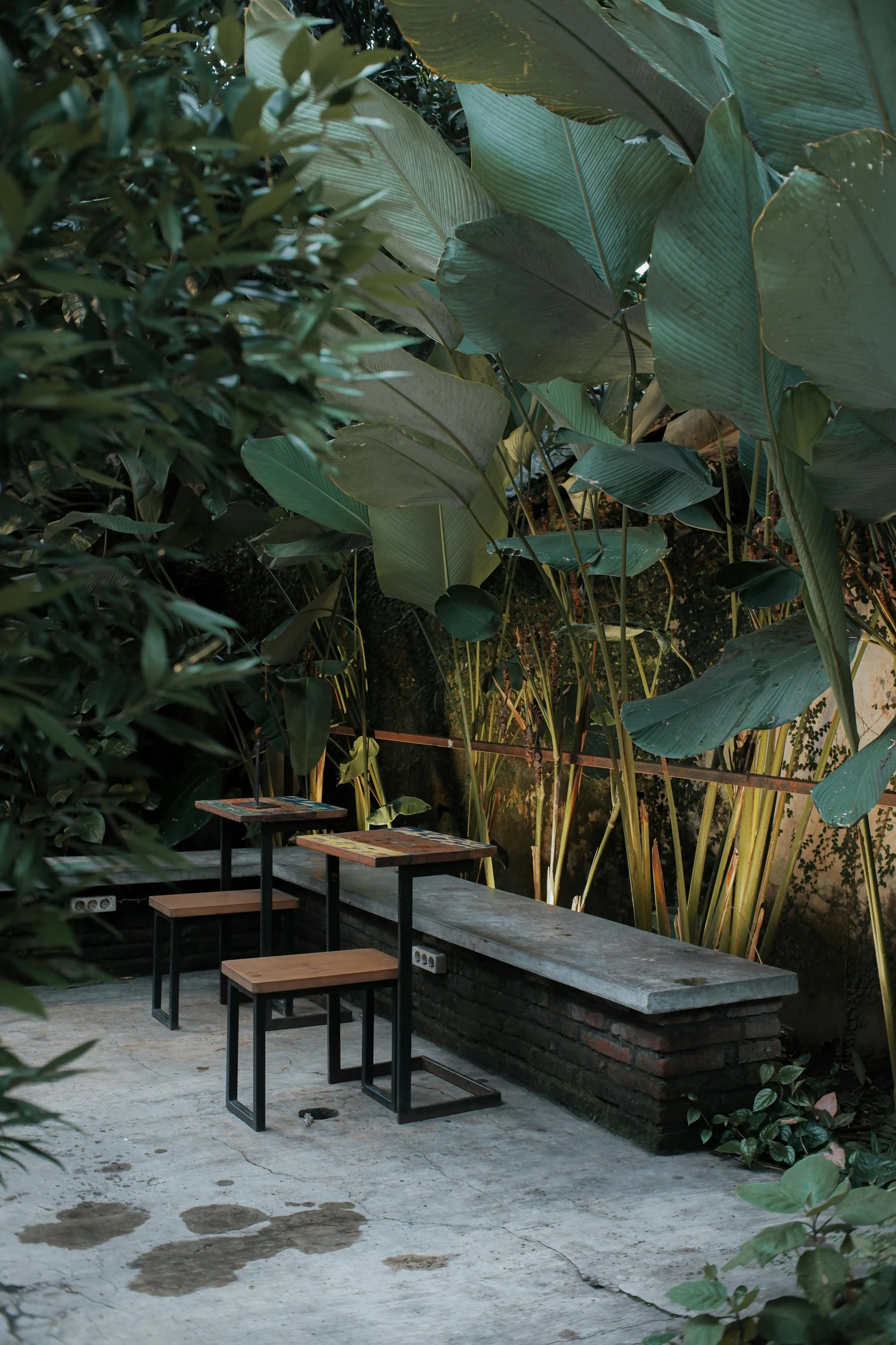 outdoor area with benches and trees inside of it