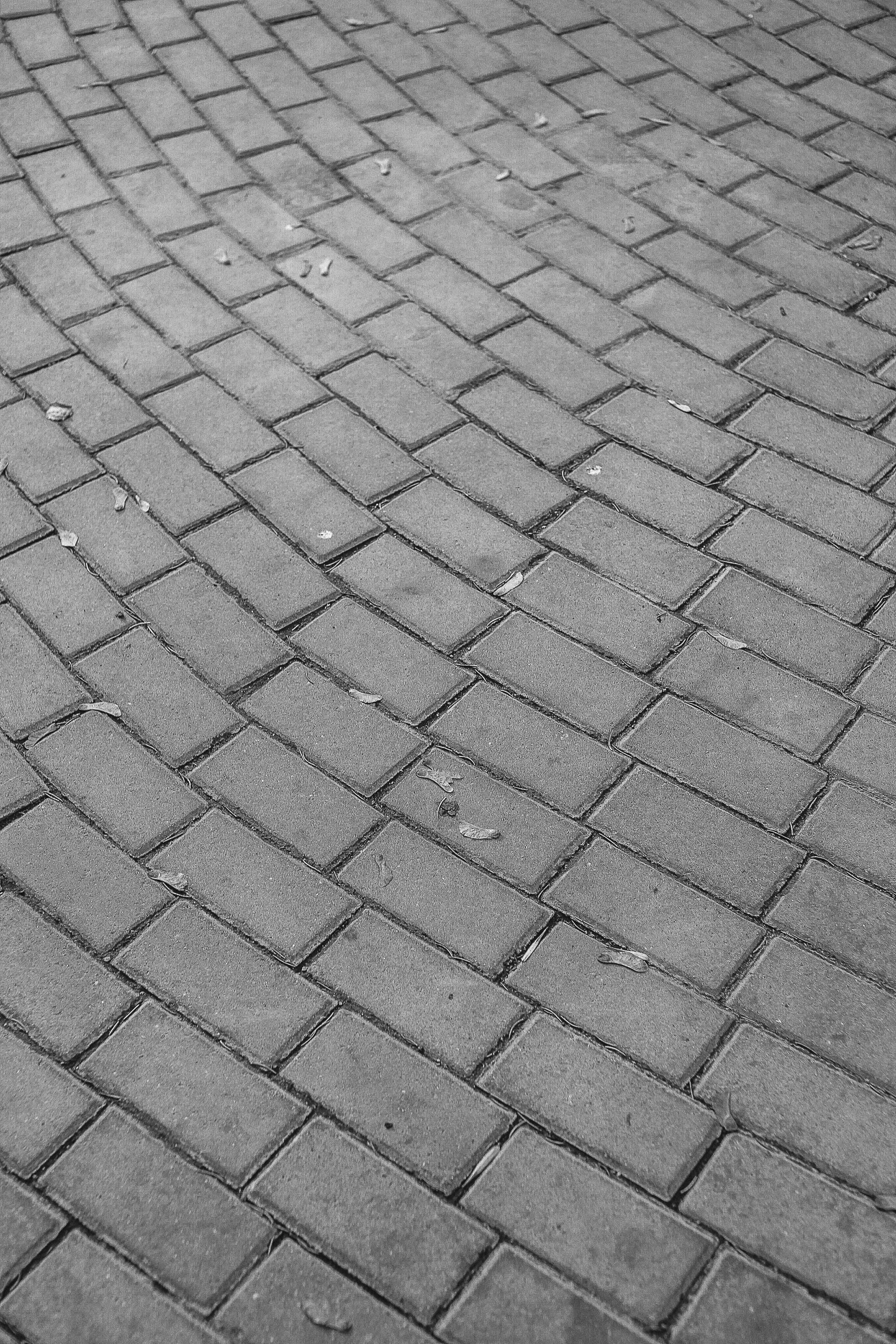 a person holding a cell phone sitting on a sidewalk