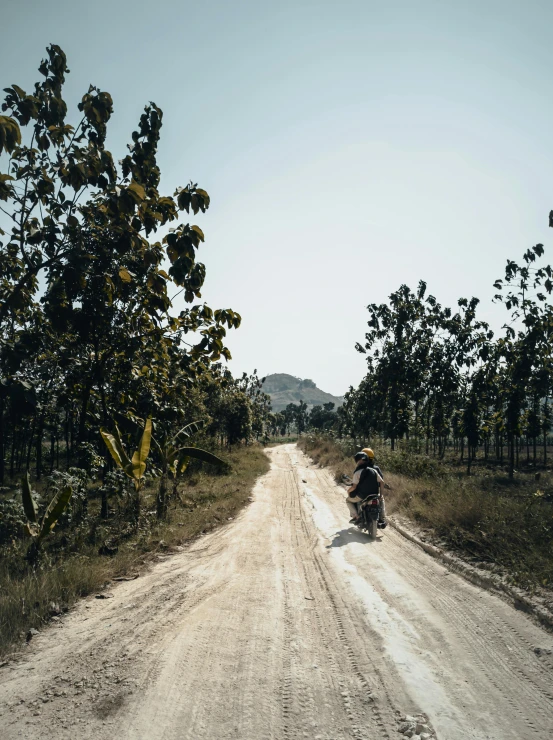 two people riding motorcycles down a dirt road in the wild