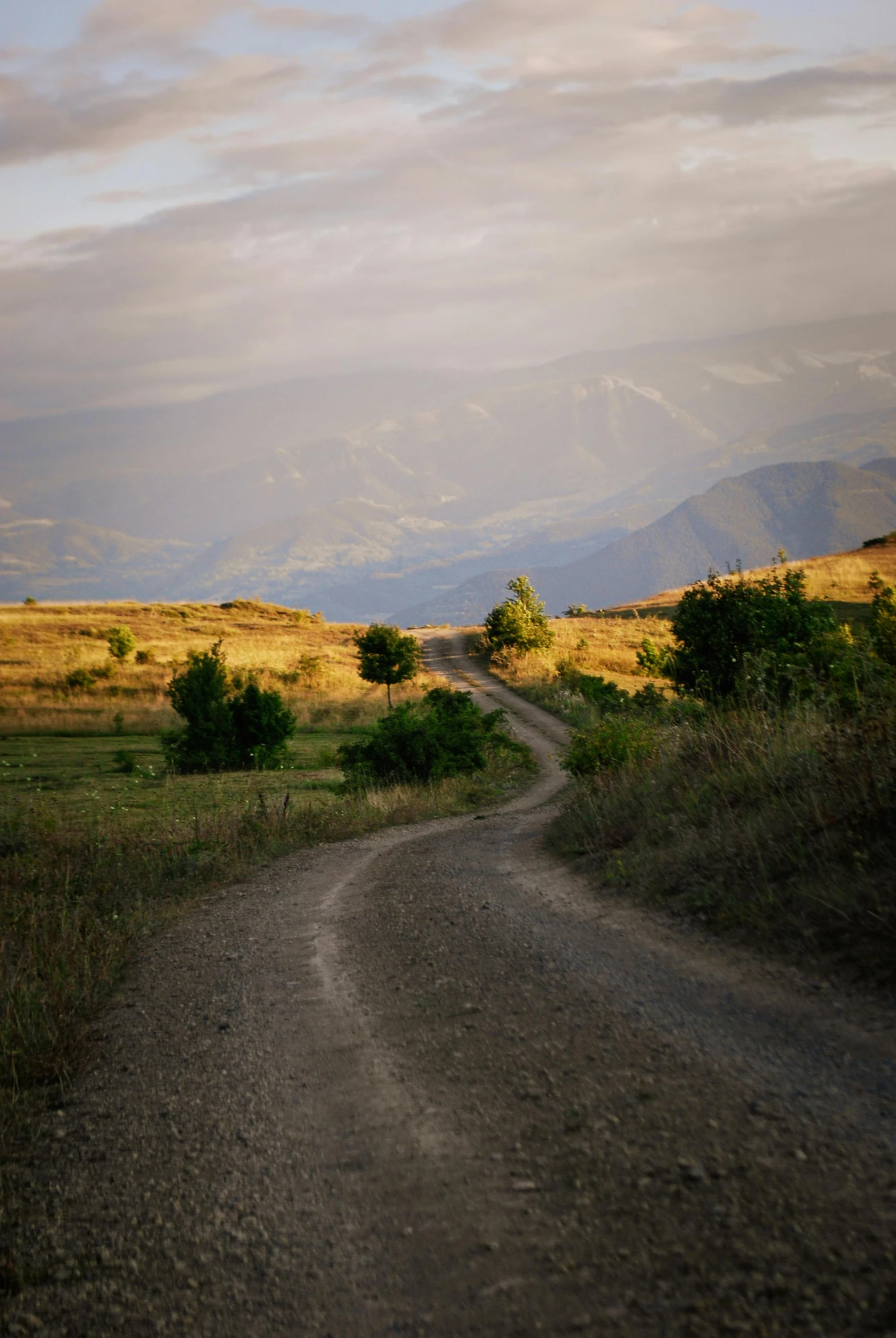 a dirt road in the middle of a grassy field