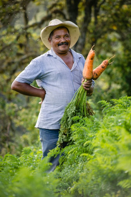 a man wearing a hat carrying carrots in the bushes