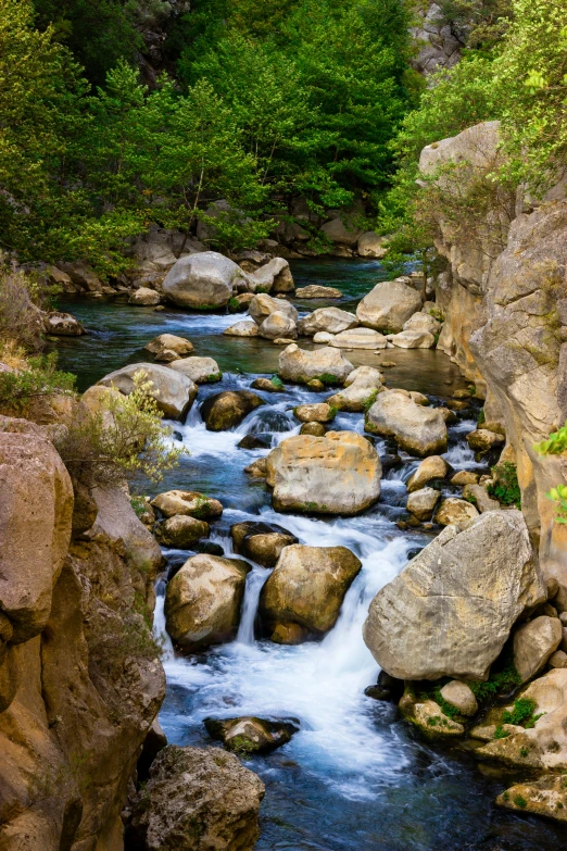 water rushing down the rocks near a forest