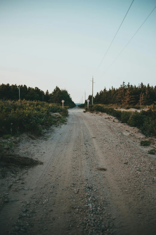 two people stand by the telephone wires on a deserted road