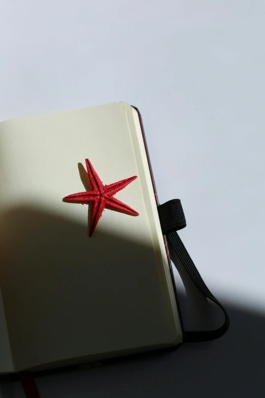 an open book has a red star on the top