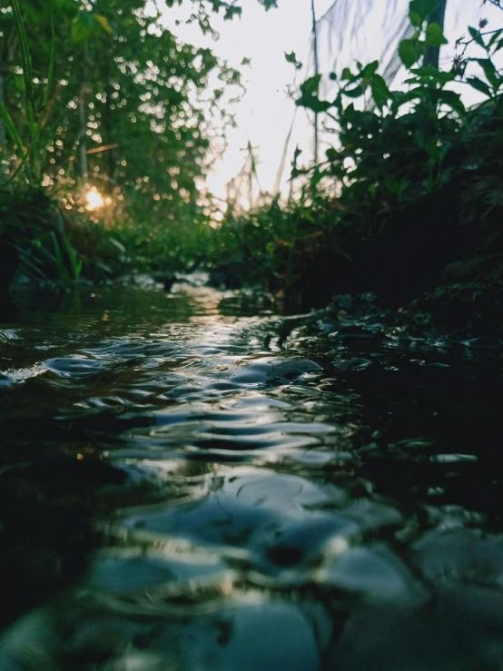 there is water in the ground that has small ripples